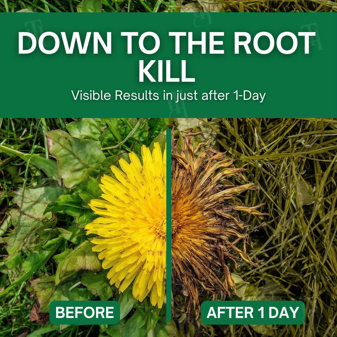 ZAVELY™ 3 in 1 Max Power Herbicide